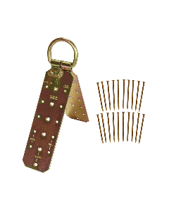 hinged roof anchor