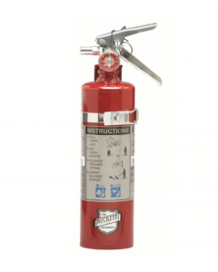 2.5lb ABC Fire Extinguisher - G32009613